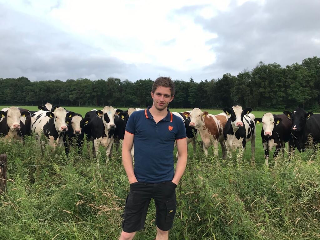 Menno Verink bij zijn koeien. Foto: PR