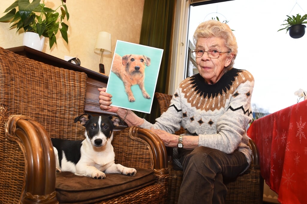 Jannie Lodewick-de Vries met een foto van haar doodgebeten hond Rakker. Foto: Roel Kleinpenning