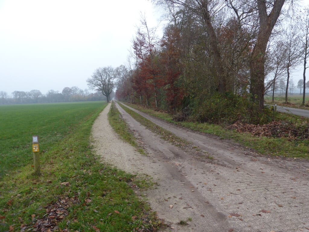 Een onverharde weg in Meddo. Foto: Bernhard Harfsterkamp