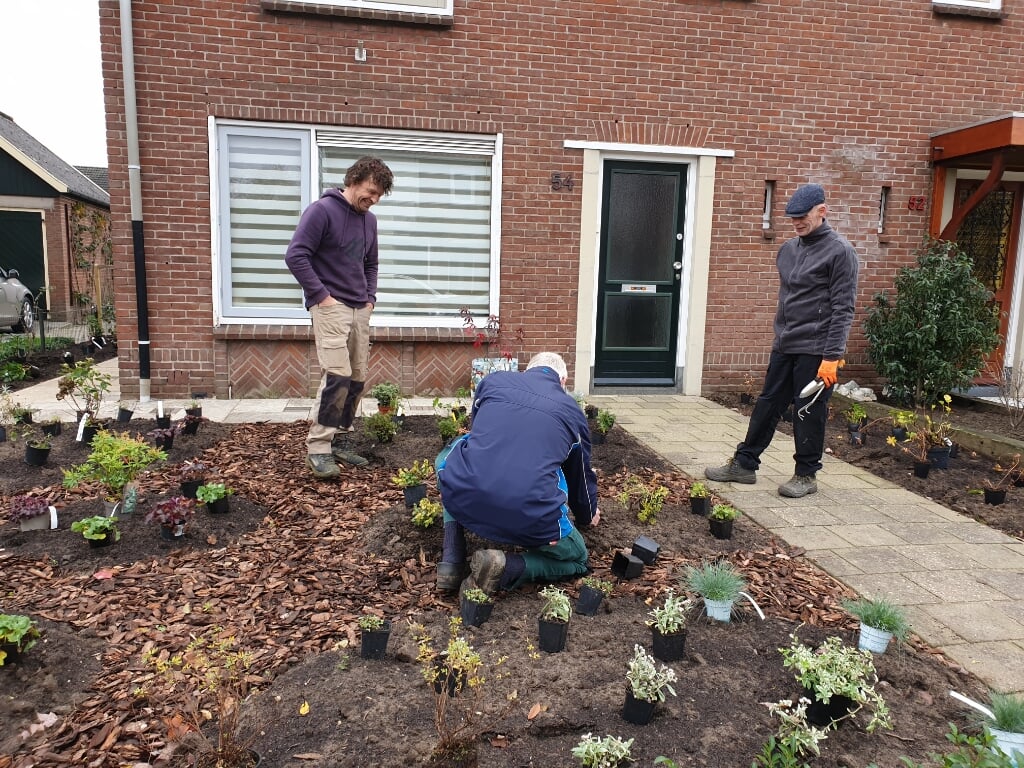 Vrijwilligers knappen een tuin op met verschillende planten om insecten aan te trekken en water vast te houden. Foto: Present Achterhoek