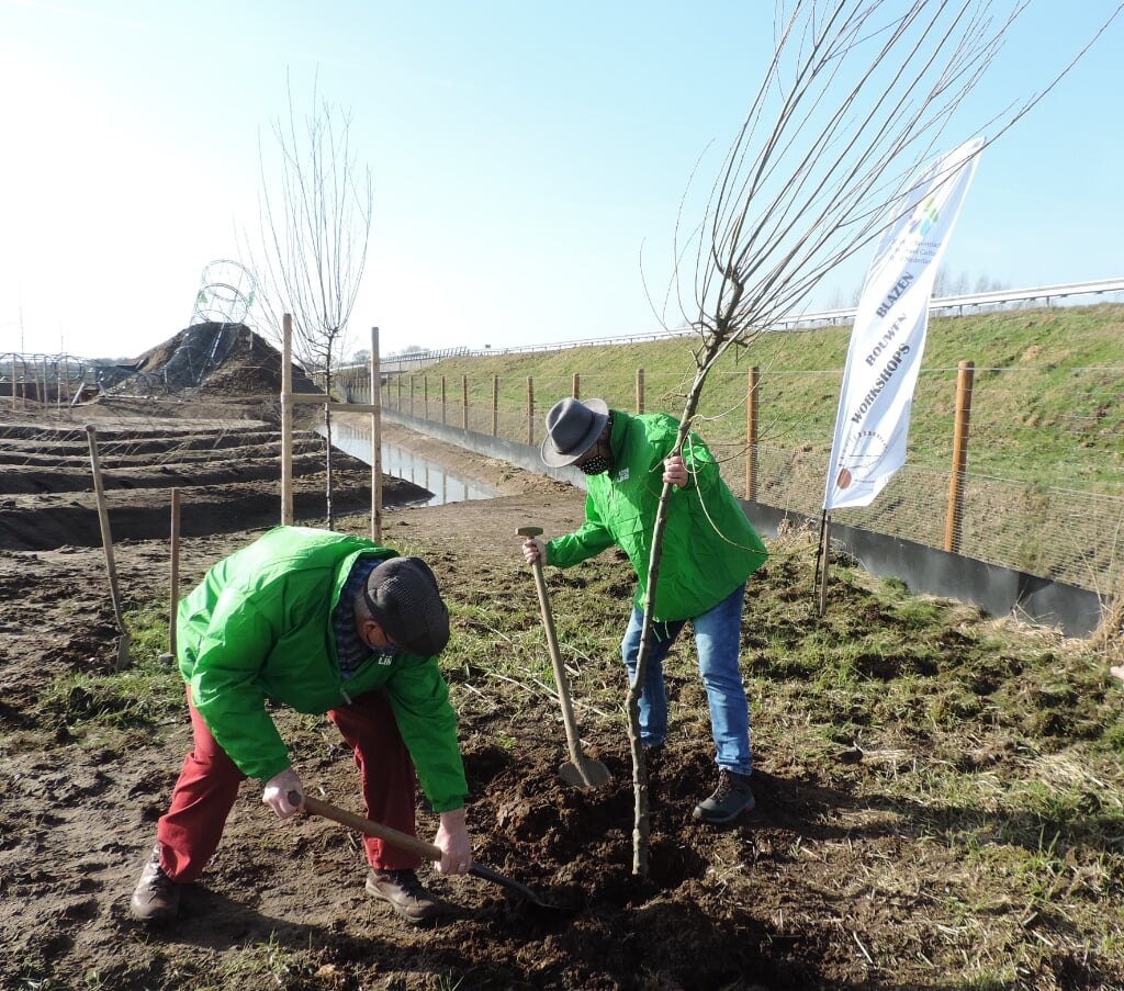 Leo Morren en Jan Lenselink planten de boom. Foto: PR