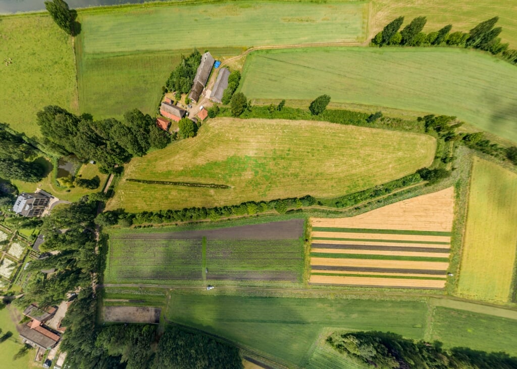 De pixels van de De Velhorst vanuit de lucht. Foto: Wouter Borre/De Velhorst