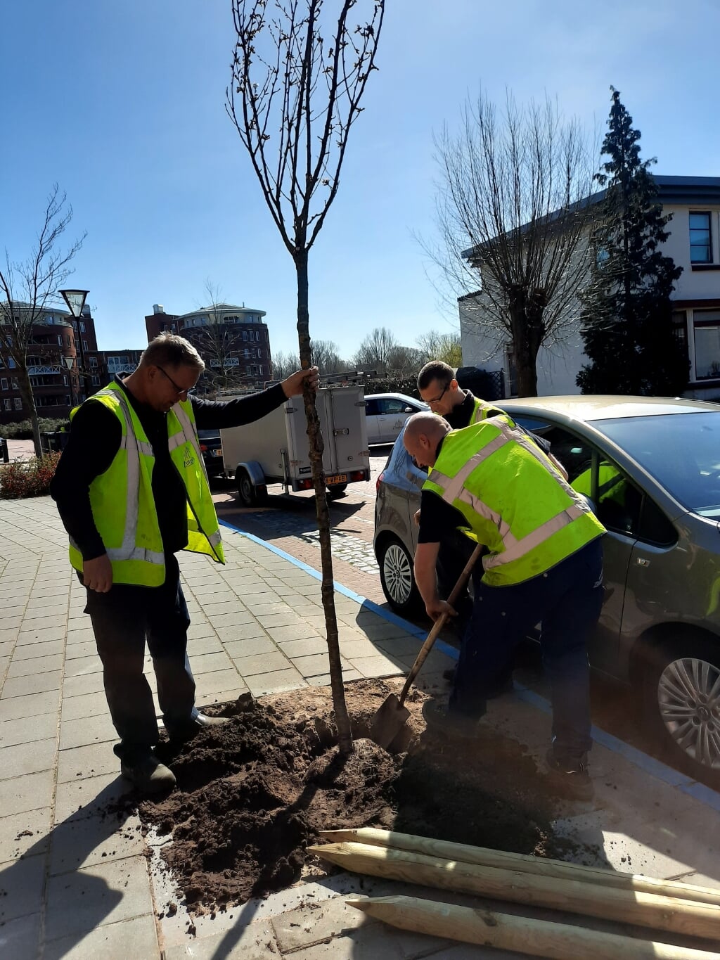 Medewerkers van de gemeente Zutphen planten de eerste boom op het Hoornwerk in Zutphen. Foto: PR