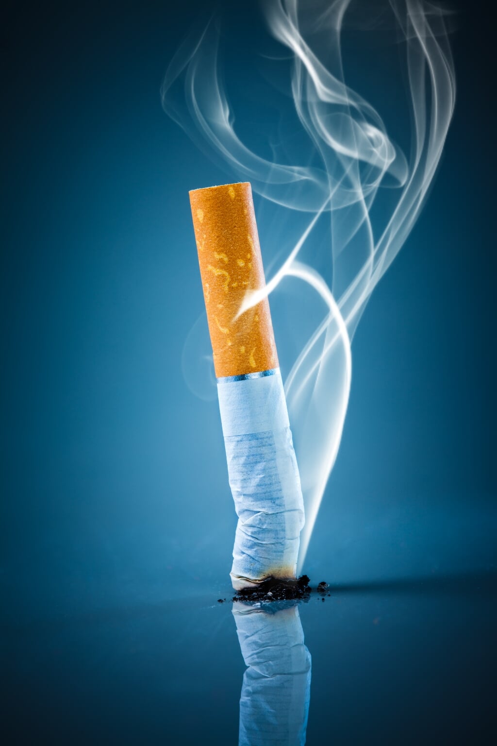 Berkelland moet een rookvrije organisatie worden. Foto: Andrey Armyagov