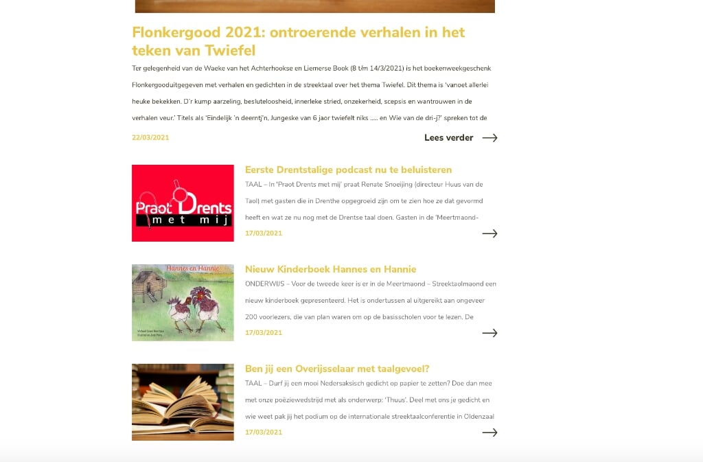 Een beeld van de website www.nedersaksisch.com.