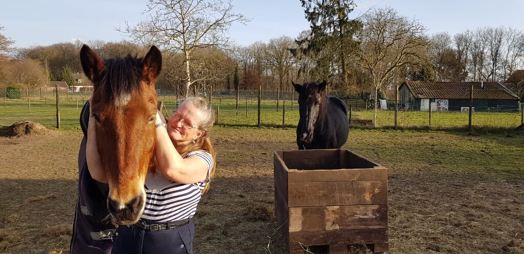 Esther Verhaagen met haar paarden. Foto: Jolien Wilmar