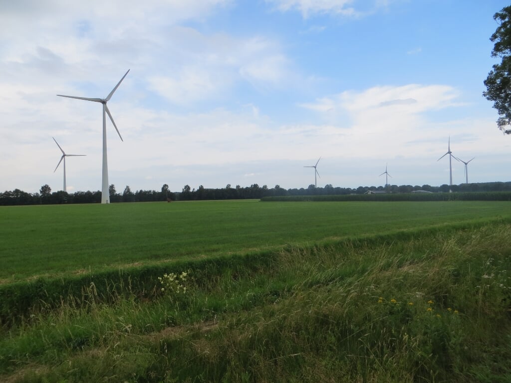 Hagenwind wil nog eens zeven tot tien windmolens nabij het bestaande windmolenpark. Foto: Bernhard Harfsterkamp