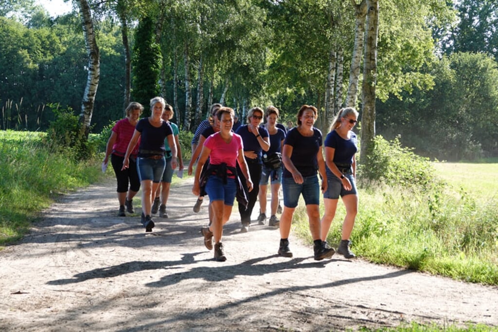 Wandelaars tijdens de editie in 2019. Foto: Gradus Derksen