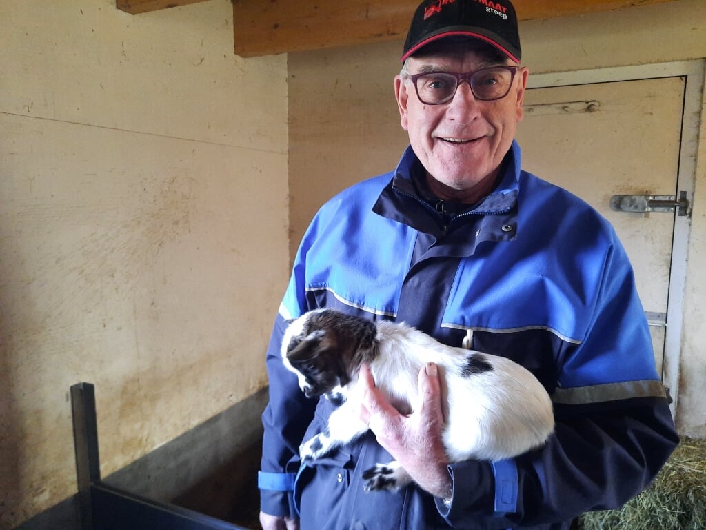 Dierenverzorger Bennie Klein Tank met één van de jonge geitjes. Foto: Kyra Broshuis