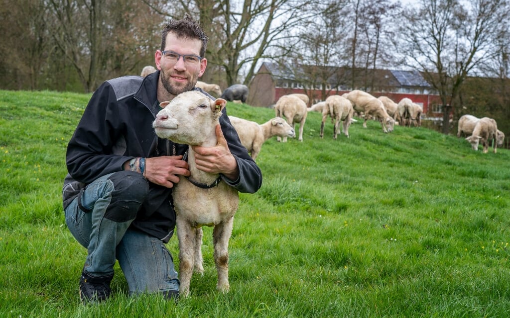 De schaapsherder met de schapen. Foto: Jolanda van Velzen 