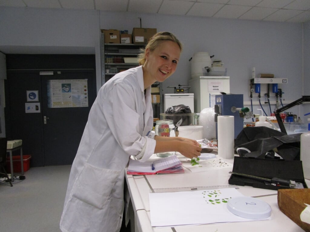 Rosanne Reitsema in het laboratorium. Foto: PR