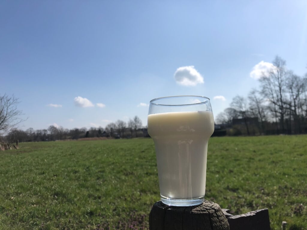 Rauwe melk en boerderij-omgeving zijn geassocieerd met een kleinere kans op het krijgen van een allergie. Foto: Eva Schipper