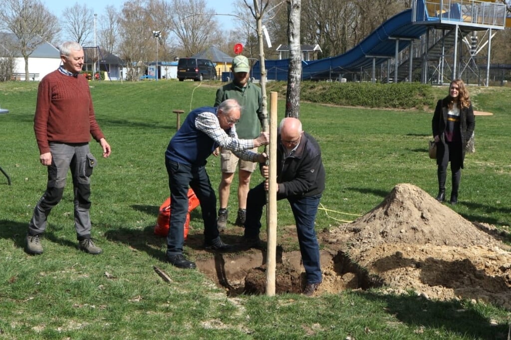 Jan Langeler en Herman Eggink plaatsten de nieuwe boom op het terrein van het Leussinkbad. Foto: PR
