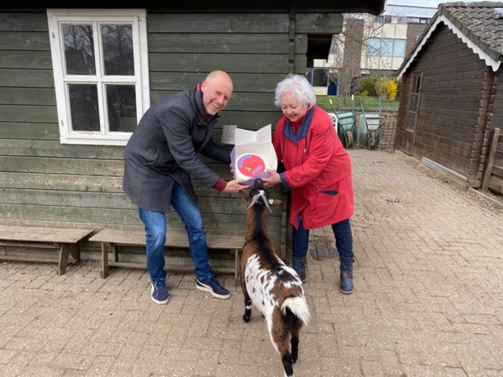 PvdA-fractievoorzitter Jasper Bloem reikt rode taart uit aan Marijke Simon, onder toeziend oog van een van de inwoners van de dierenweide. Foto: PR