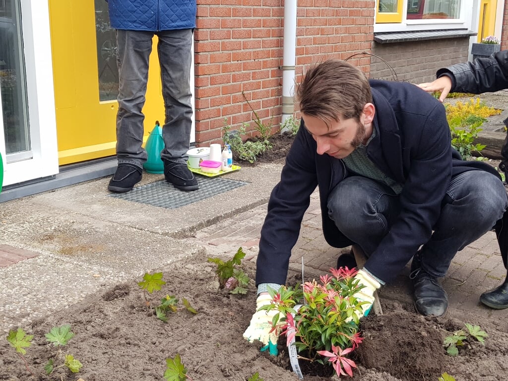 Wethouder Paul Hofman zet een plant in de tuin, als officieel startsein voor het project Sociaal Groen. Foto: Present Bronckhorst
