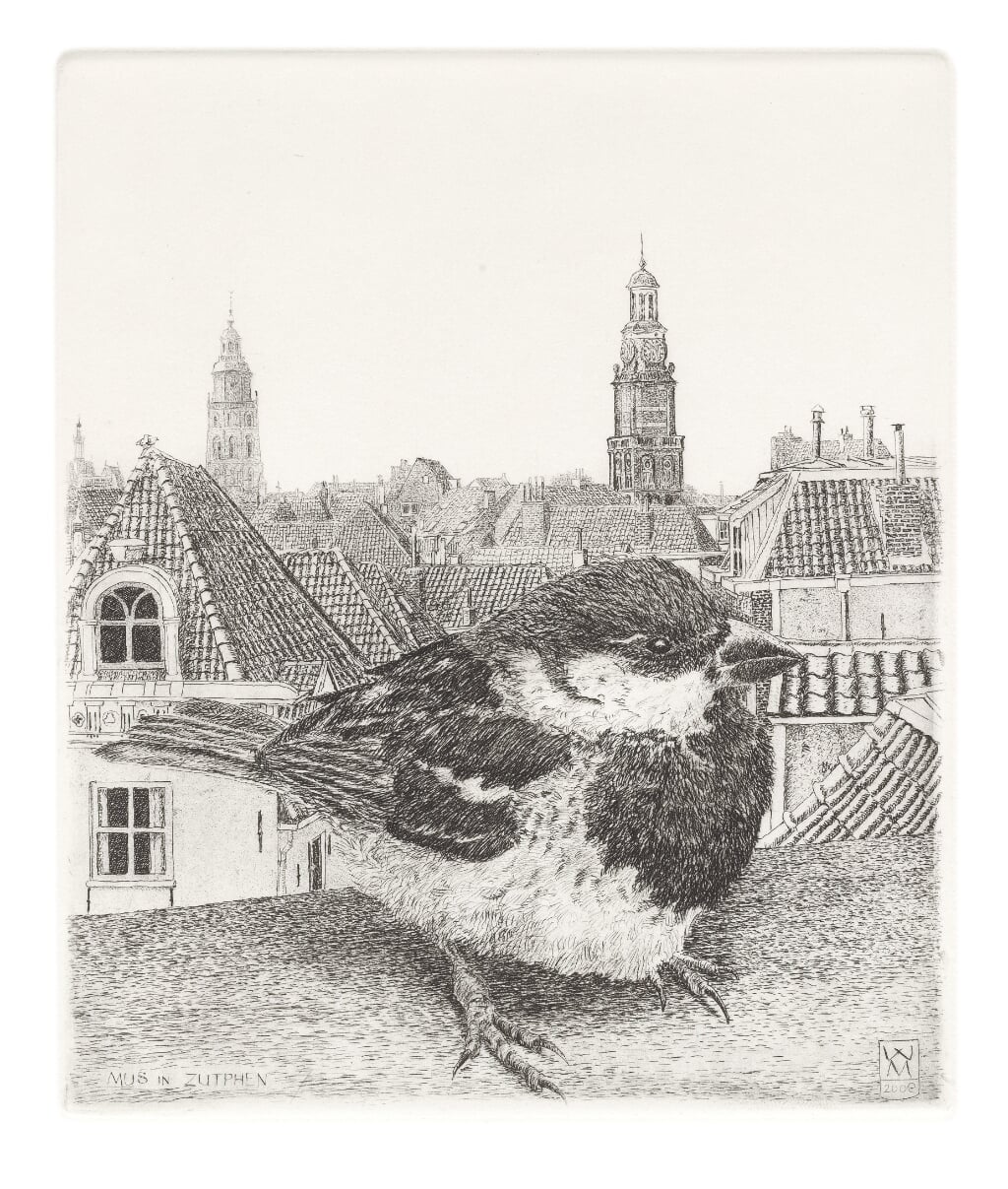 Wim van der Meij, Huismus, ets, 2009, 145 x 120 mm.  