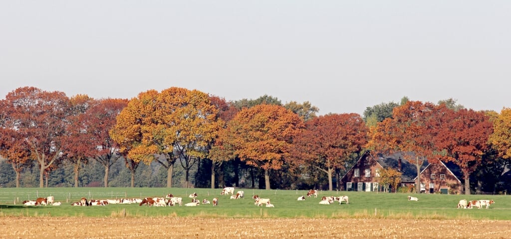  Panorama Essinkweg in de herfst. Foto: Jan Oberink