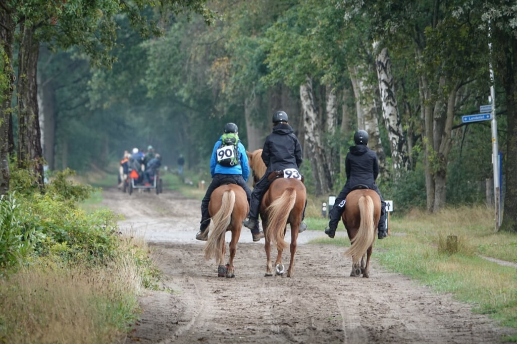 Er kunnen dit jaar door de corona maximaal honderd belangstellenden aan de twaalfde editie van de Barchemse Paardenvierdaagse deelnemen. Foto: PR 