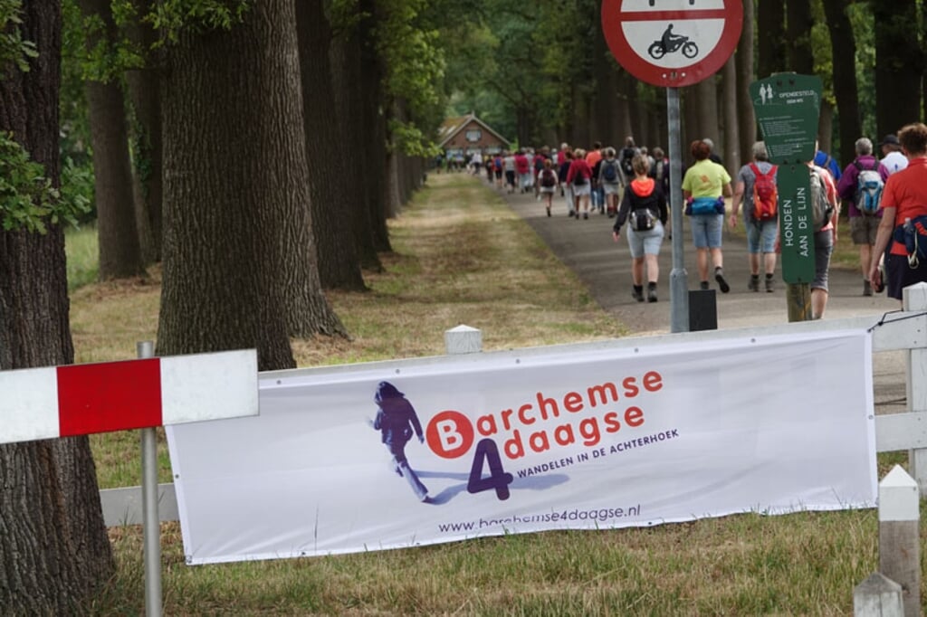 Het ‘alternatieve wandelprogramma’ komt vanaf 30 juni op de website www.barchemse4daagse.nl beschikbaar. Foto: Gradus Derksen. . 