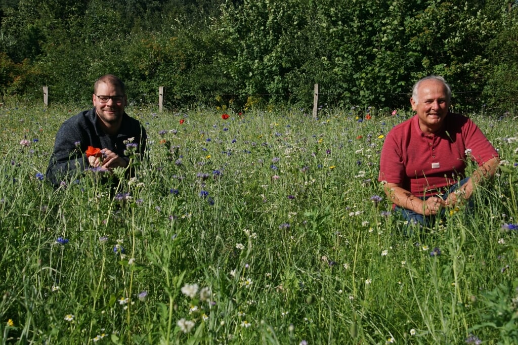 Gert Rougoor (rechts) met Robin Beijers te midden van de bloemenzee. Foto: Frank Vinkenvleugel