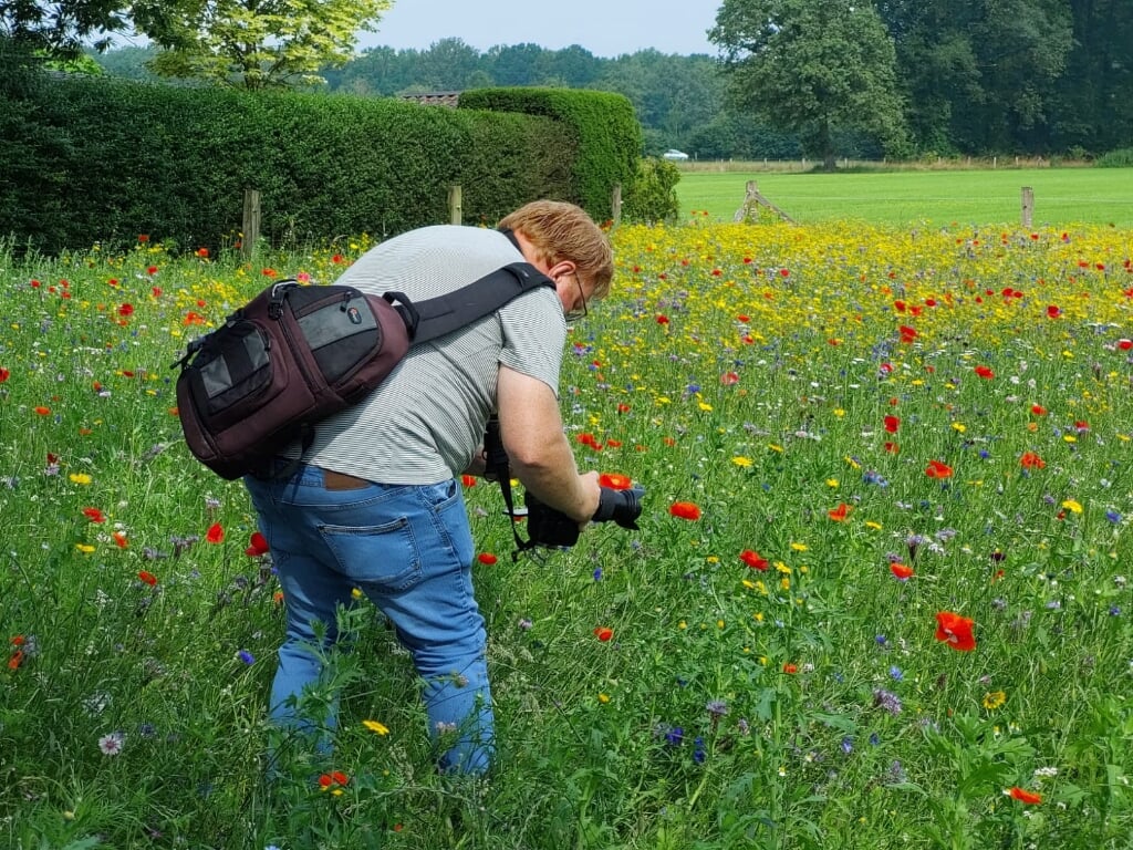 Fotograaf De Band legt bloemenzee vast. Foto Waltraud Wensink