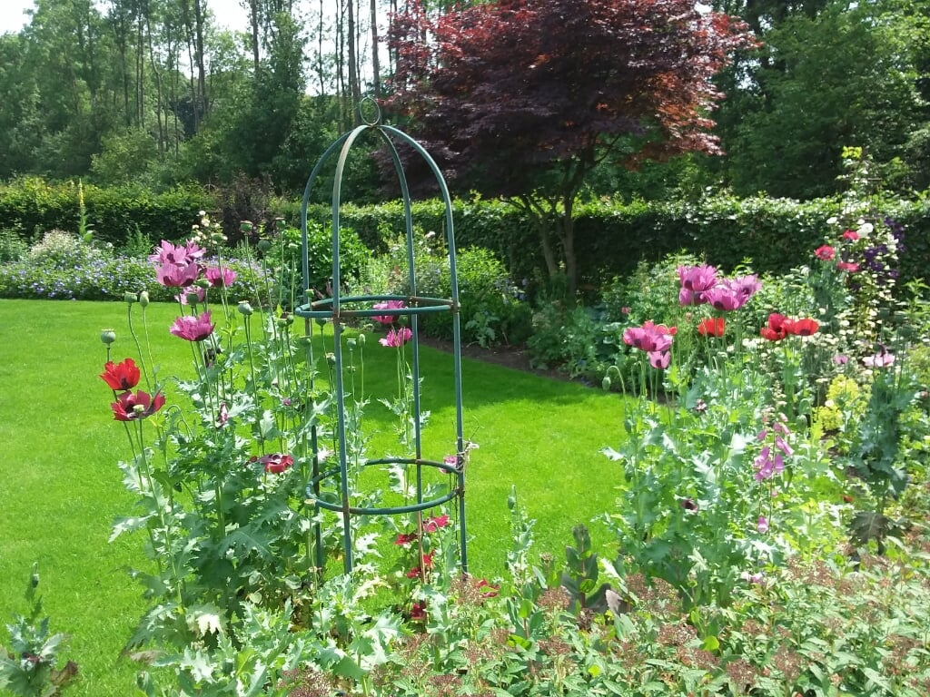 De tuin van Jopie en Joke Tankink in Hummelo heeft een fraaie border met vaste planten. Eigen foto