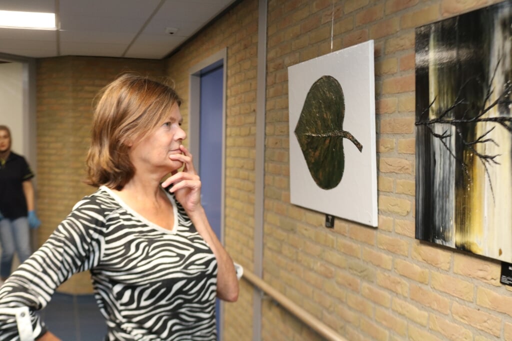 Een voorbijganger kijkt met bewondering naar de drie verschillende schilderijen. Foto: Arjen Dieperink