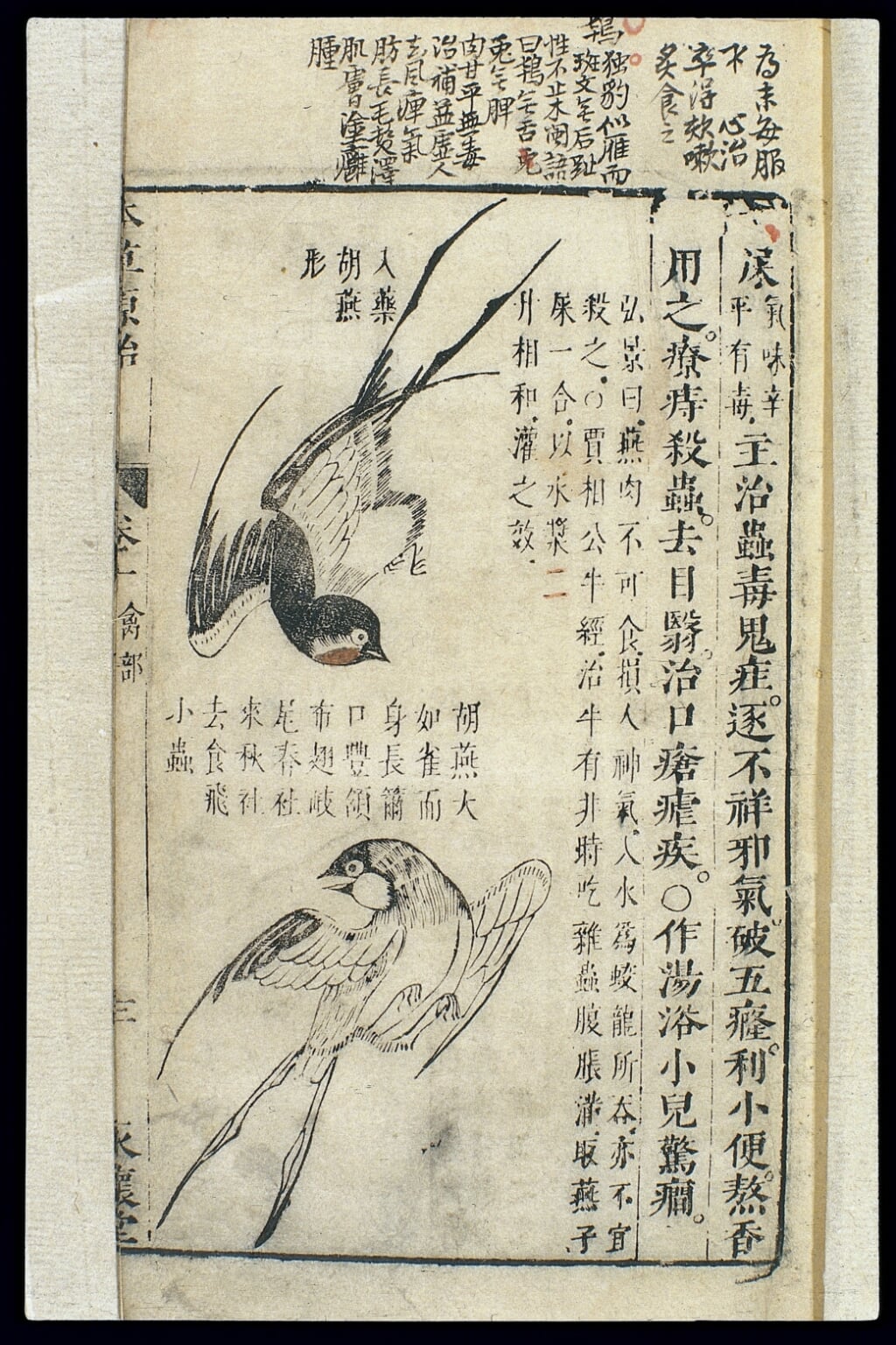 Illustratie met twee zwaluwen, China, 18e eeuw. Foto: PR