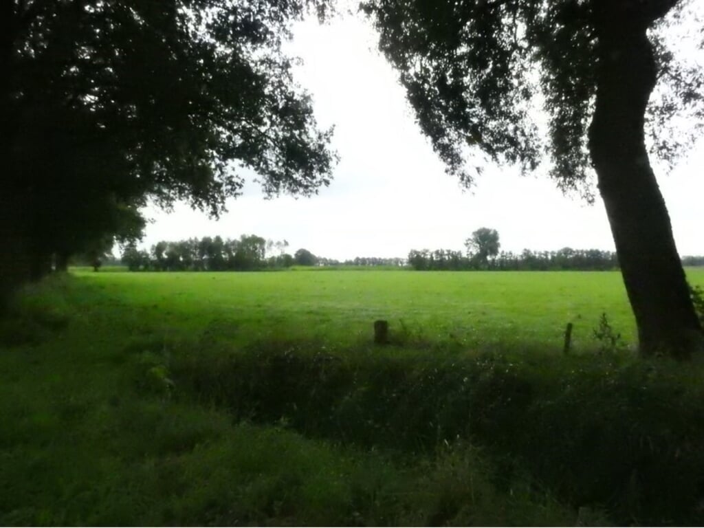 Het landelijke gebied in 't Ruurlose Broek dat is aangewezen als ‘Zoekgebied K’ voor plaatsing van windmolens. Foto: PR 
