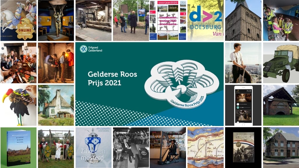 Een collage van de inzendingen voor de Gelderse Roos Prijs 2021. Beeld: PR