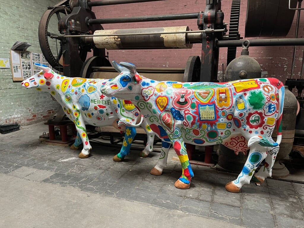Beschilderde koeien.