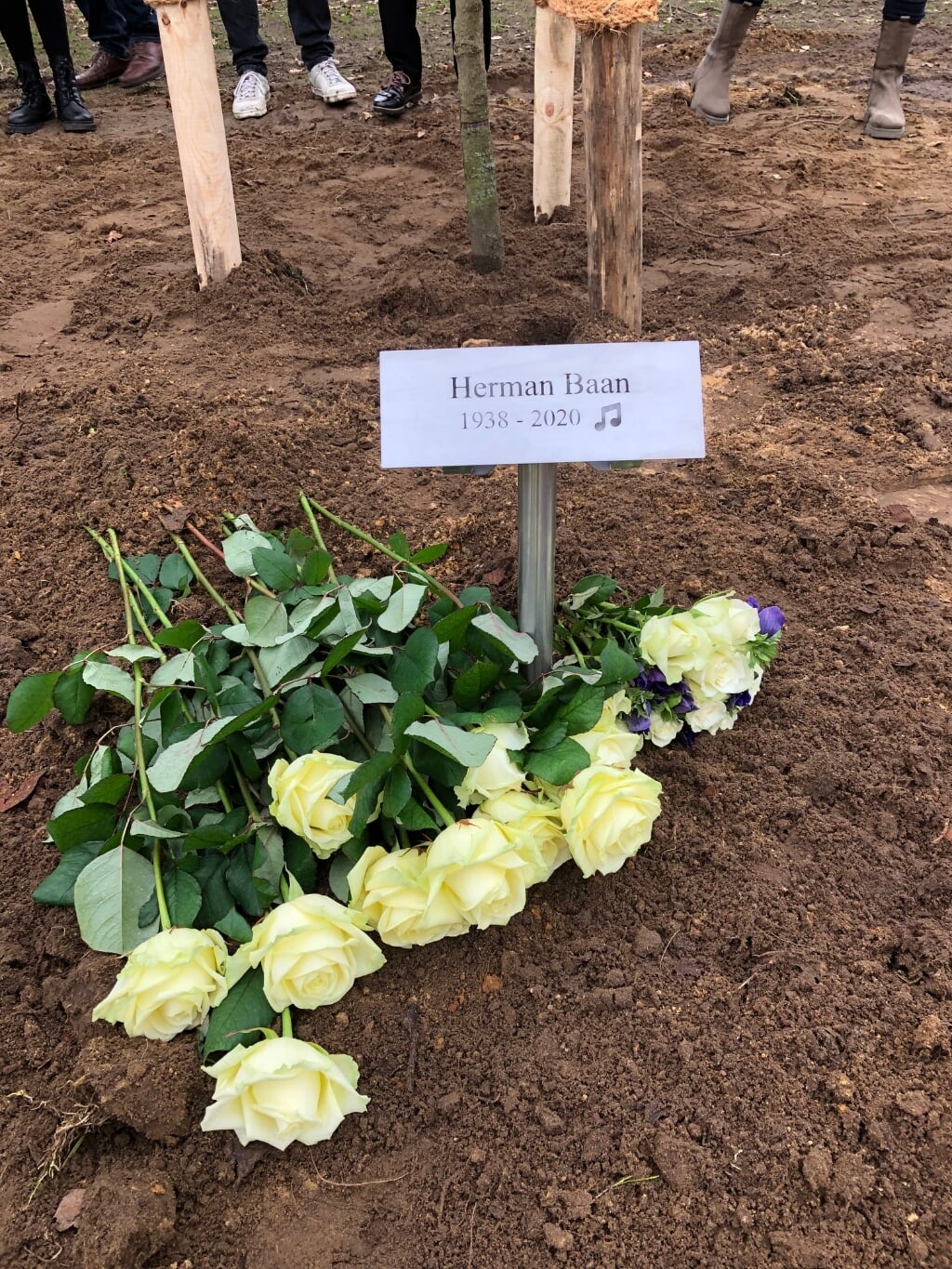 Herdenkingsbordje bij de Amberboom voor Herman Baan. Foto: Jolanda Luimes