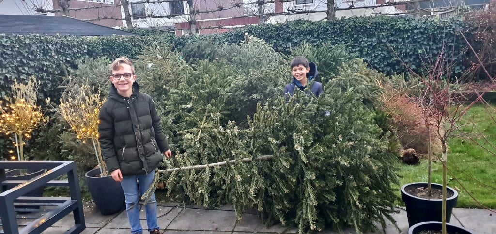 Thijn Trerop (links) en Niels Maat waren er druk mee. Ze zamelden maar liefst 185 kerstbomen in. Foto: Circulus-Berkel)