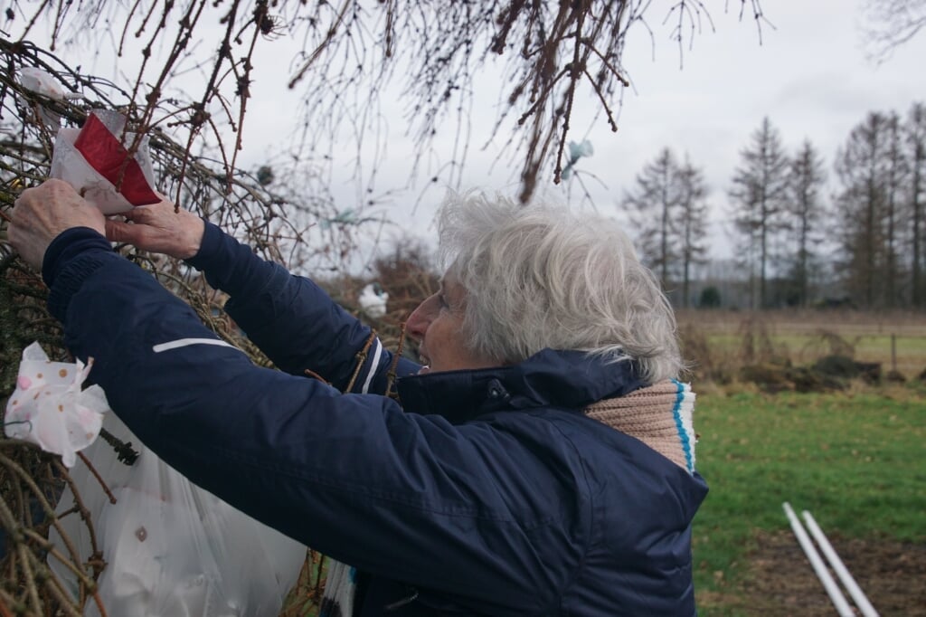 Buurvrouw Jo Beyers bevestigt een roosje aan de meiboom. Foto: Frank Vinkenvleugel