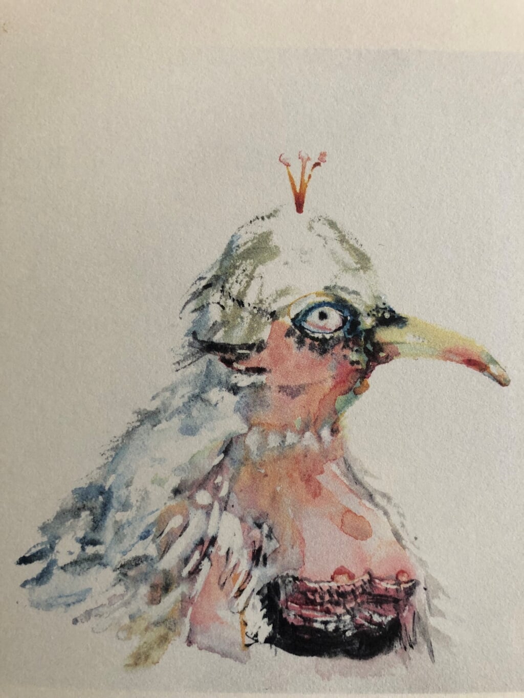Vermeulen: "Bij die paradijsvogel met het kroontje op het hoofd, vind je humor, maar ook zwartgalligheid en neerslachtigheid". Foto: PR