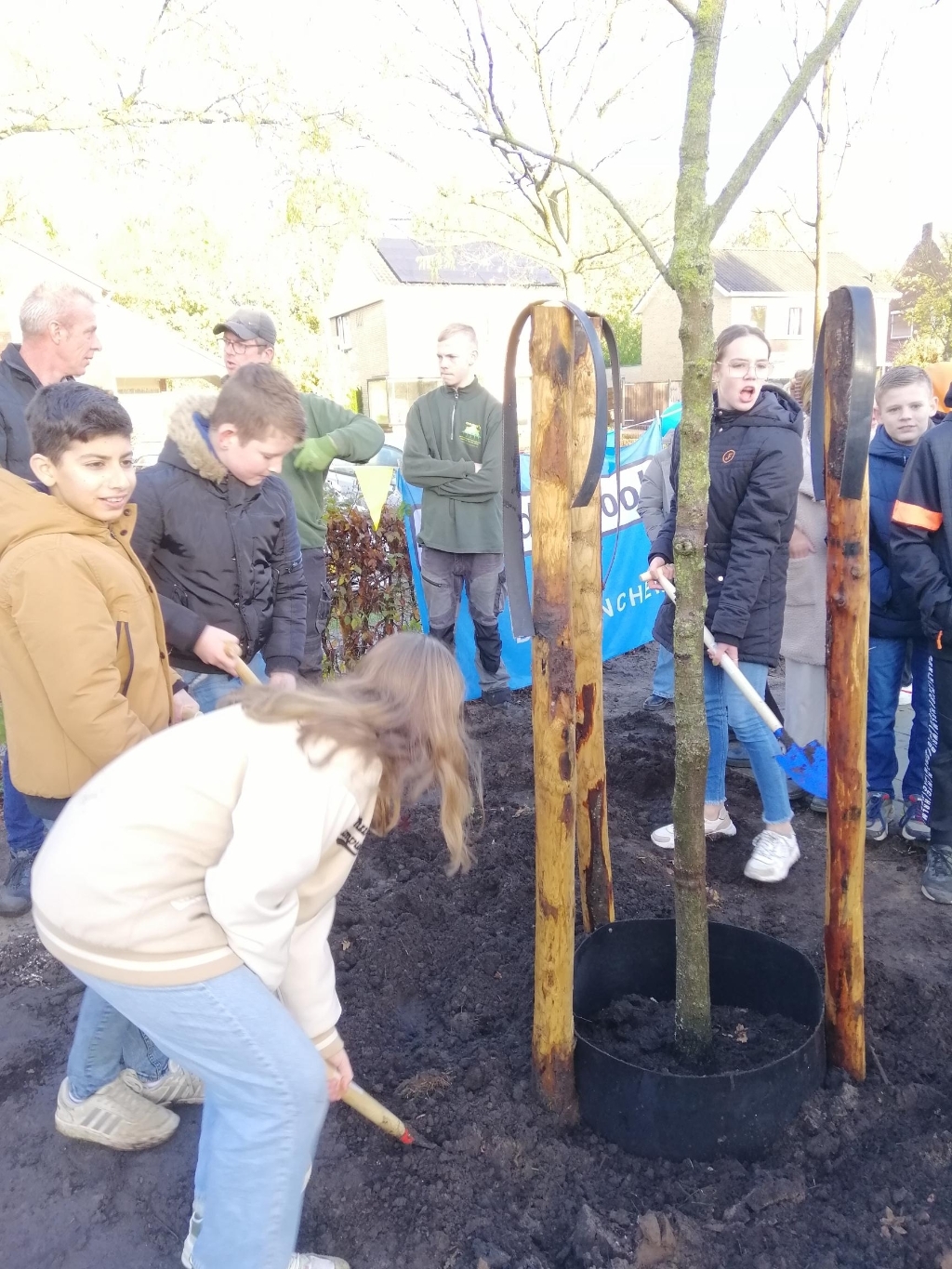 Boom geplant op schoolplein Canadaschool. Foto: PR