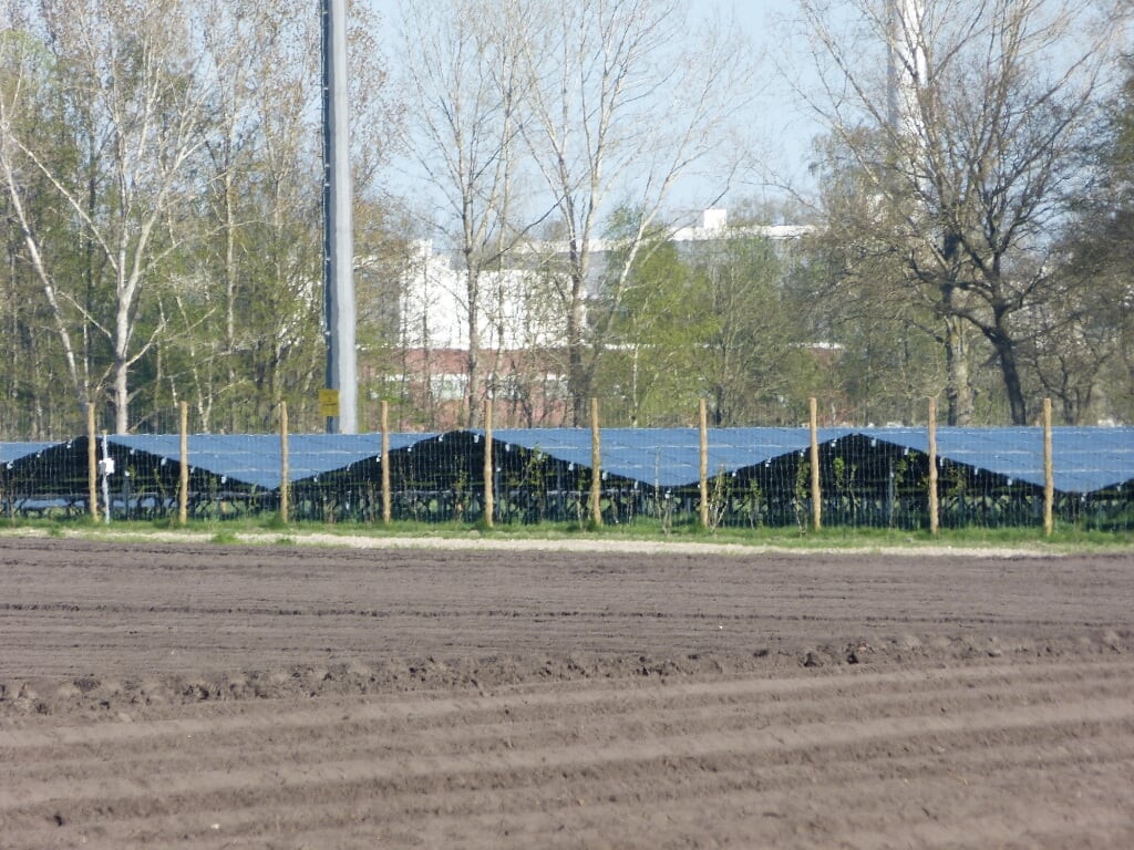 Zonnepark op het Arrisveld. Foto Bernhard Harfsterkamp