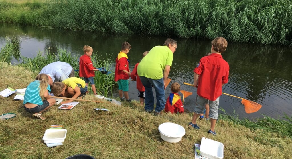 Het weekend van 11 en 12 juni kunnen kinderen weer op speurtocht bij de waterkant. Foto: PR 