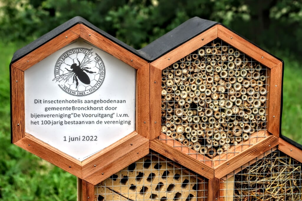 Het insectenhotel zit vol met plekjes waar bijen tussen het hout een onderdak kunnen vinden en hun eitjes kunnen leggen. Foto: Luuk stam