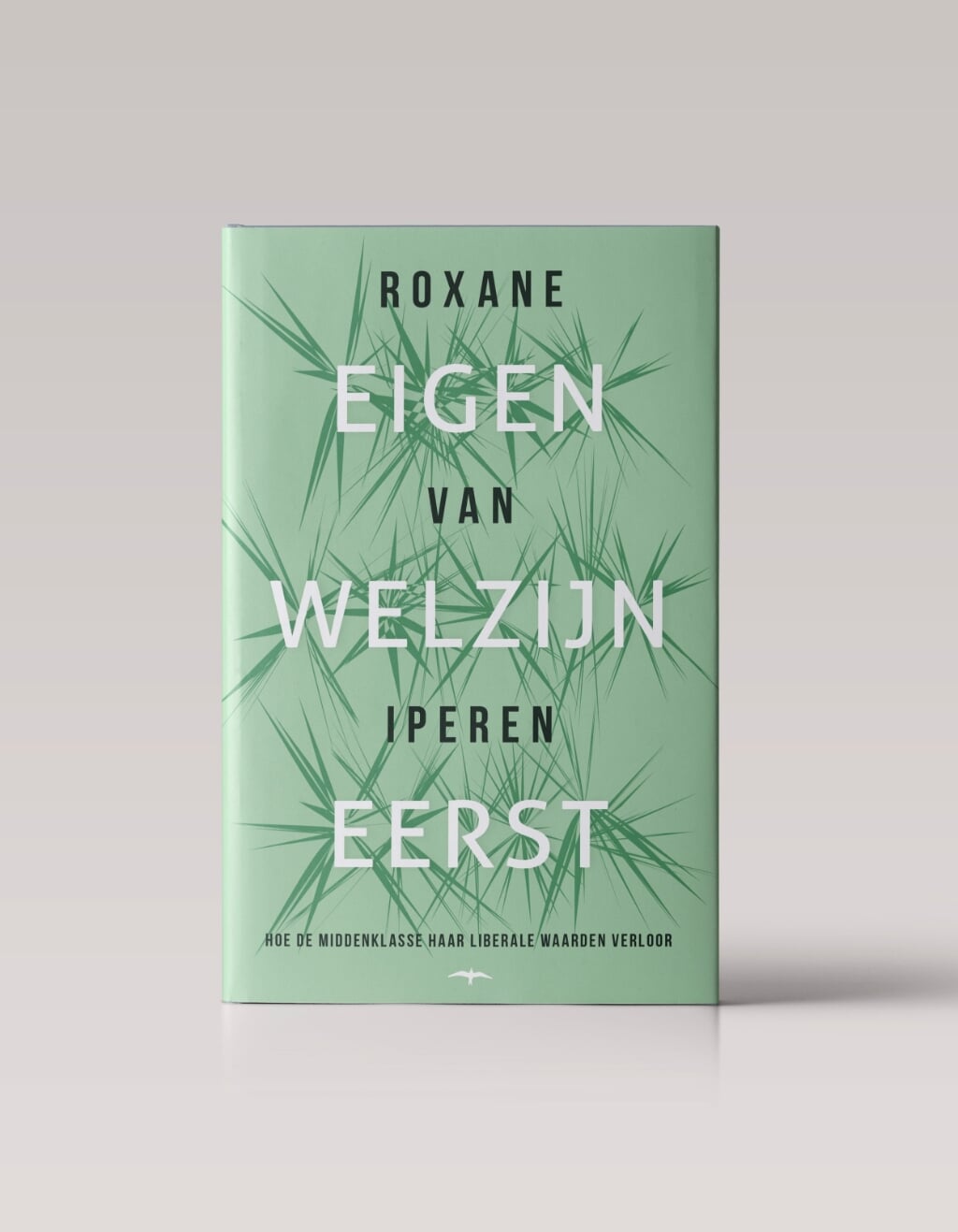 Het besproken boek van Roxane van Iperen. Foto: PR