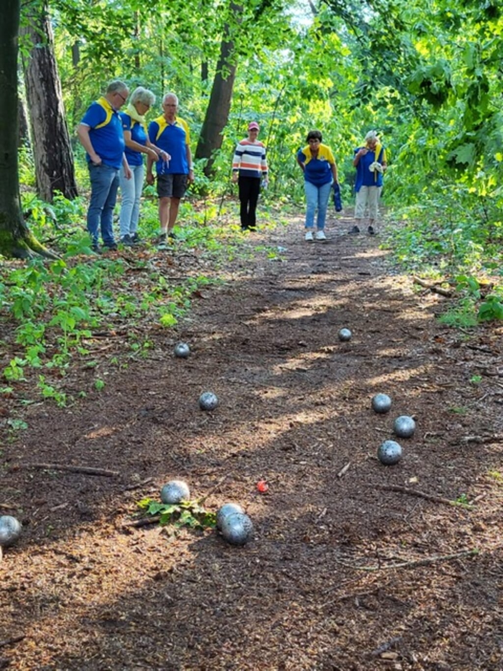 Bospadentoernooi: jeu de boules in het bos. Foto: PR