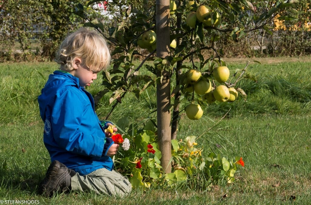  Iedereen mag appels en peren plukken en proeven. Foto: Stefan van Dooremolen