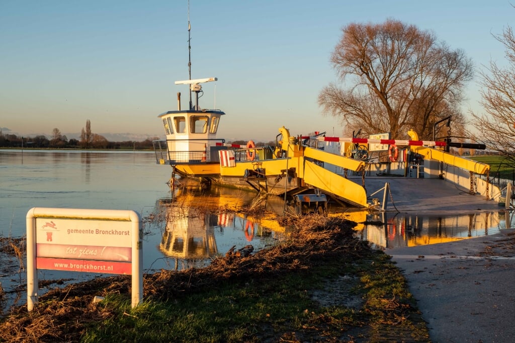 Hoog water in de IJssel bij Bronkhorst. Foto: Burry van den Brink