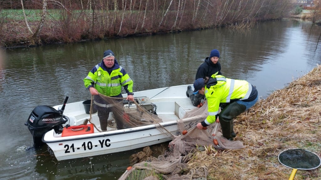 Leden van Sportvisserij Nederland houden onderzoek naar de kwaliteit van het viswater en de visstand van de vijver Oostervoort, in opdracht van De Karper. Foto: Han van de Laar