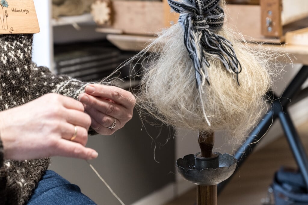 Vlas vormt de grondstof voor linnen. Foto: Janette van Egten/archief Achterhoek Nieuws