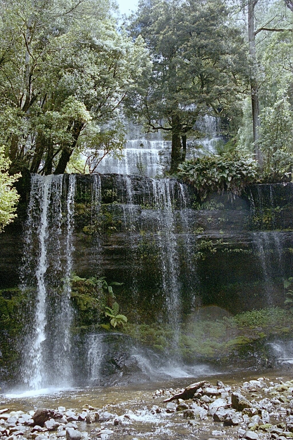 De watervallen van Russell Falls in Tasmanië. Foto: Sjoerd Kuipers