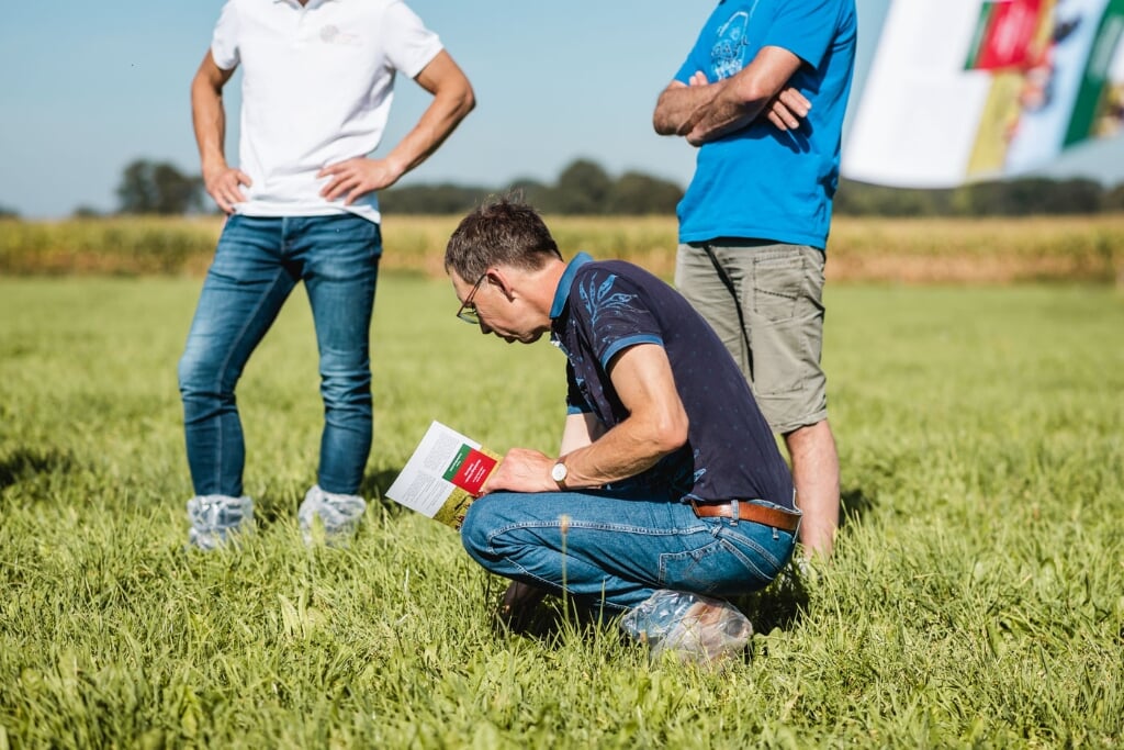 De vereniging Vruchtbare Kringloop Achterhoek en Liemers (VKA) is een lerend netwerk van de landbouw voor een vruchtbare toekomst. Foto: PR