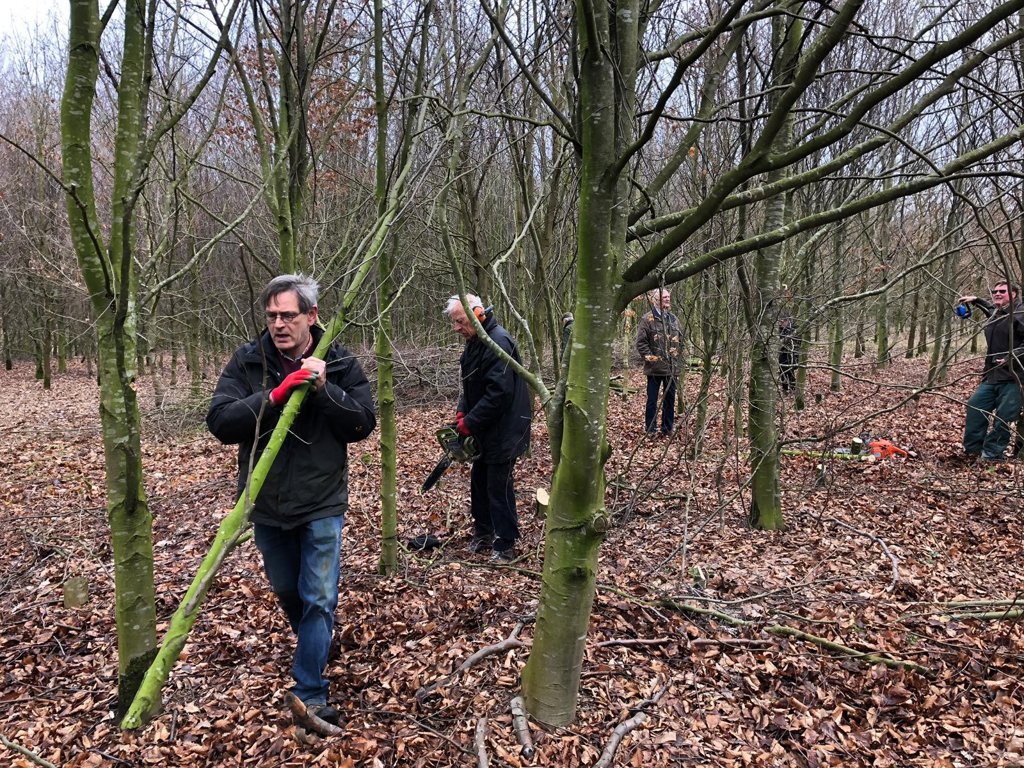 Enkele Rotaryleden helpen bij het snoeien van een bosje in Gaanderen. Foto: RCDOIJ