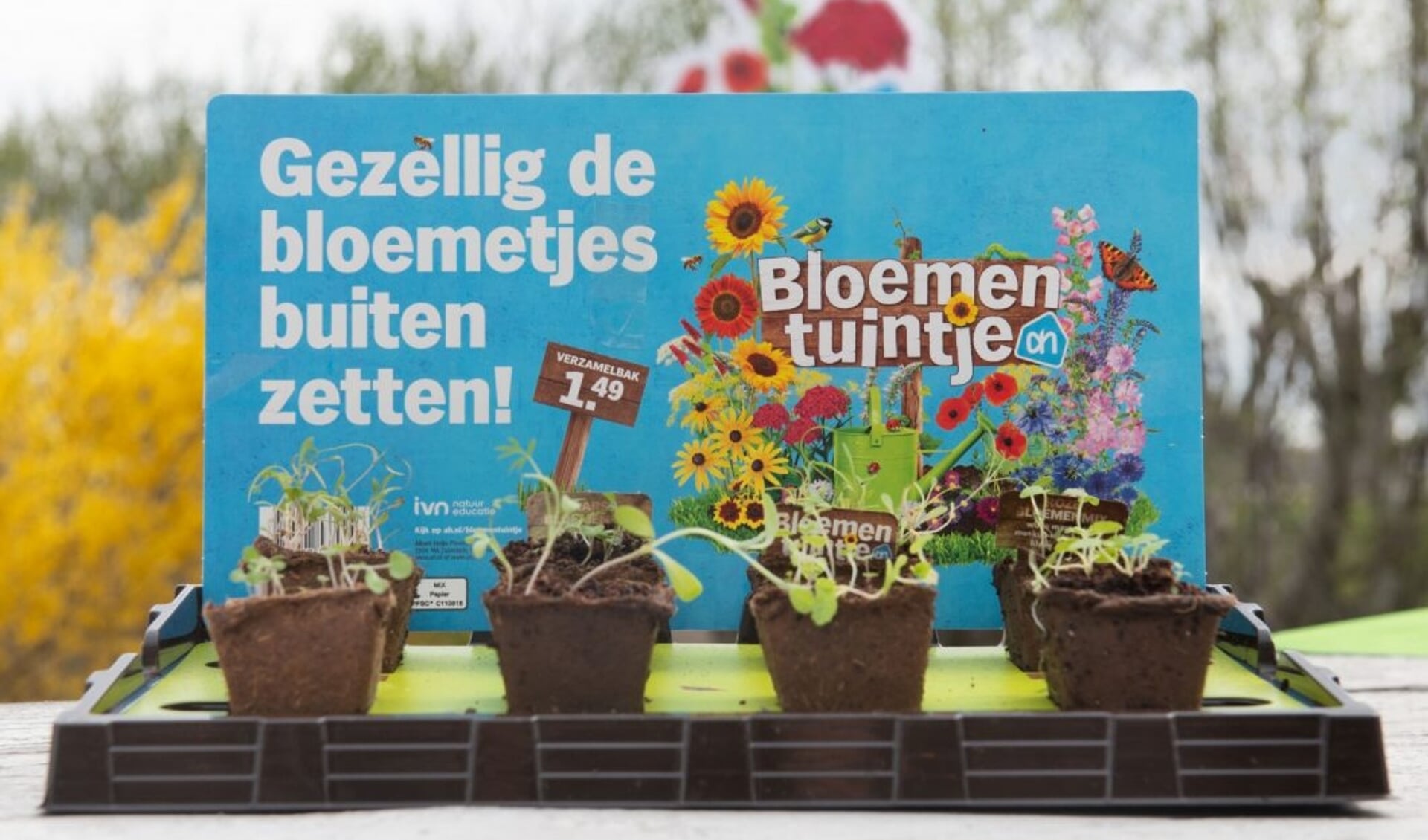 Albert Heijn start ‘bloementuintjes’ en paascampagne