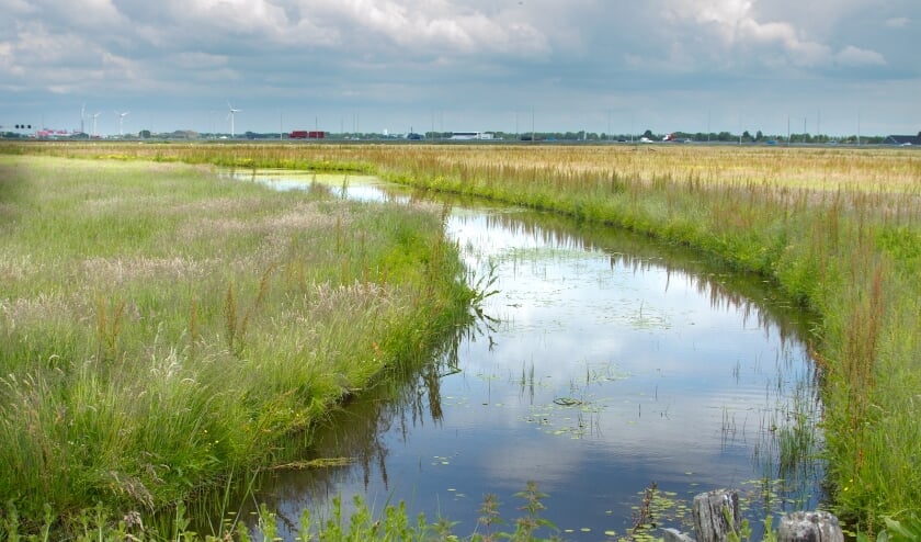 Ongewenst zoekgebied voor zonnepanelen in natuurgebied langs A9 met gewenst zoekgebied op de achtergrond.